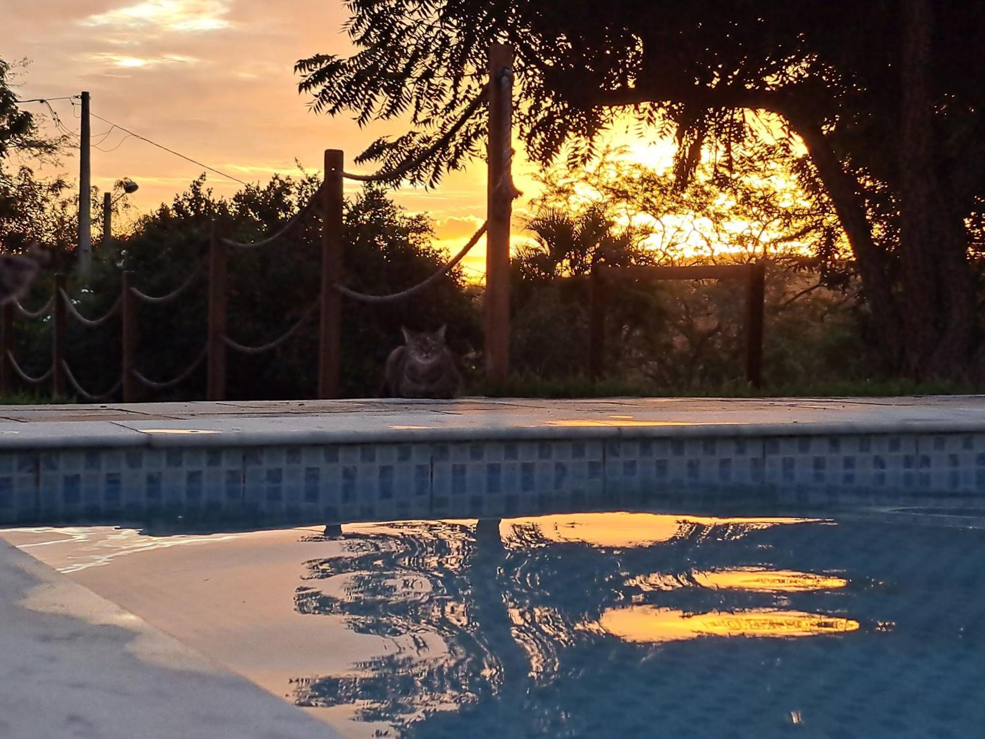 Casa Schneider Otel Gravatá Dış mekan fotoğraf